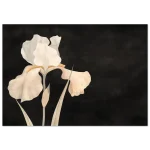 81ec7cd1-a720-452b-b553-96e4e9c7b0dd