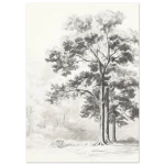 8288ac62-d1d3-445a-81aa-cdda9387c894