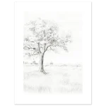 835cae9c-7951-4b54-bed5-f87e40deae40