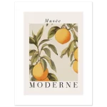 83d6961c-79e3-4385-8c3b-e5d5434ff936