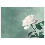 8482db5a-9f2d-4b49-ae18-2efe109909aa