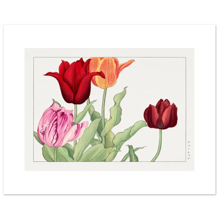 85927f70-6e76-49ea-8247-8179a3c584f9