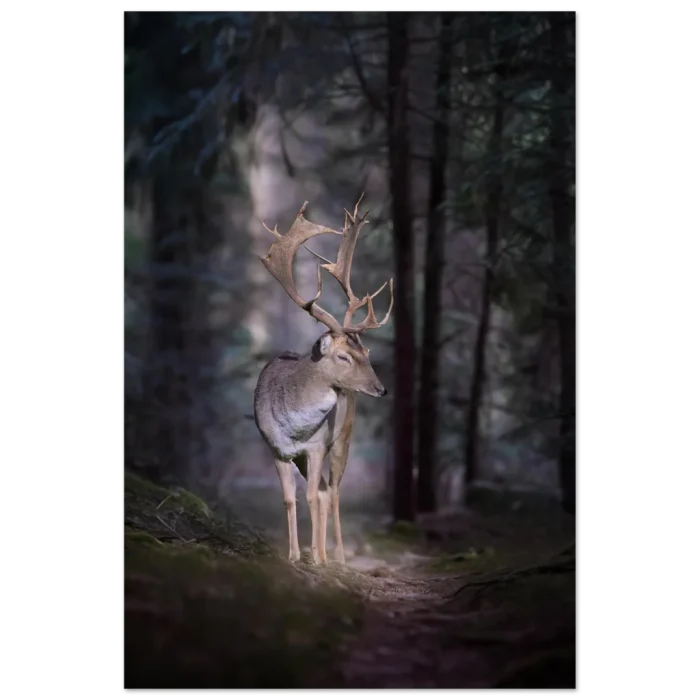 8658e622-31c9-4544-bab8-29db0ac068e9