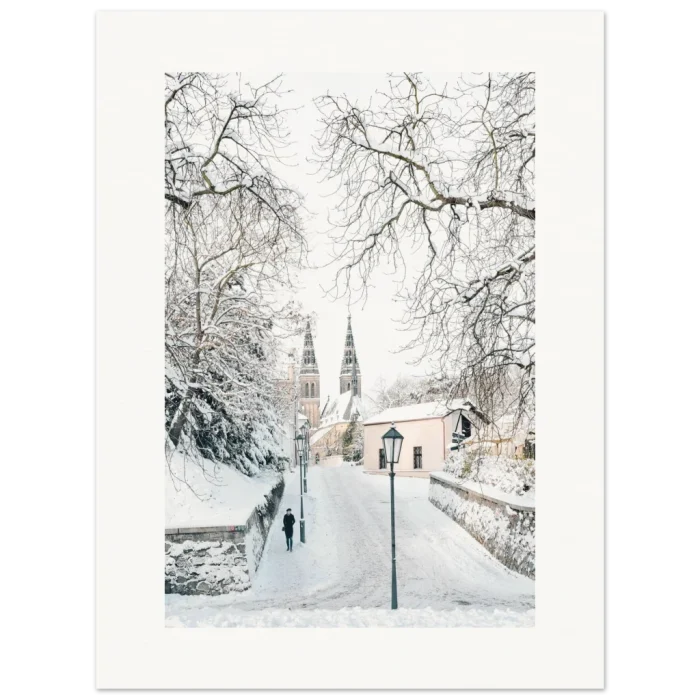 8677e92f-ebff-4dc9-95cd-8b523bee2626