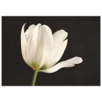 867be640-4f24-448c-a453-cd5d28344468