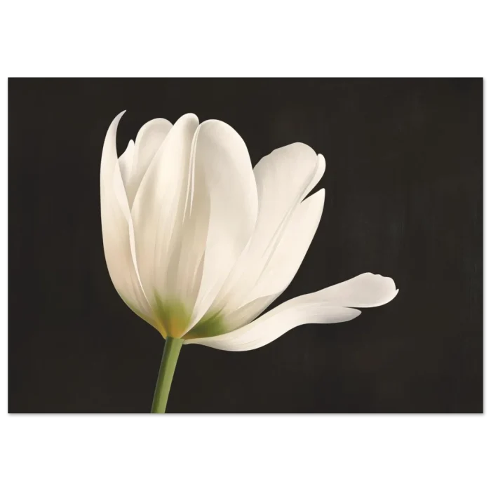 867be640-4f24-448c-a453-cd5d28344468