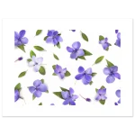 86f8f09c-c416-43e6-9299-1ae77c082818