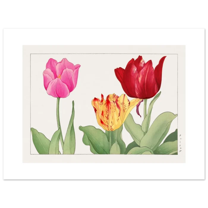 8704ae70-01ac-4c39-8c04-86bcd87f87d1