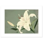 8771fda4-4514-4952-8b65-ad879a2c7718