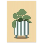 87e49ae2-92ed-4776-a697-2904bd06675b