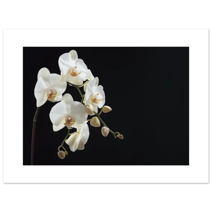 887bb37b-038a-4077-b9eb-36526a14f2c4