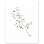 8a41aab3-6895-4d84-8626-91793aecf8b2