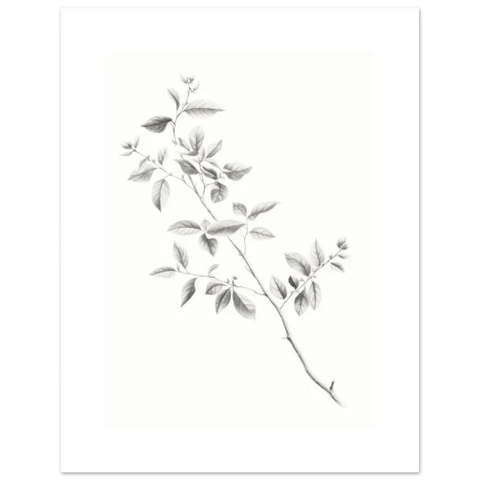 8a41aab3-6895-4d84-8626-91793aecf8b2