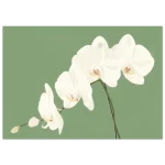 8aaa2382-553f-438a-9c20-6a6518e28373