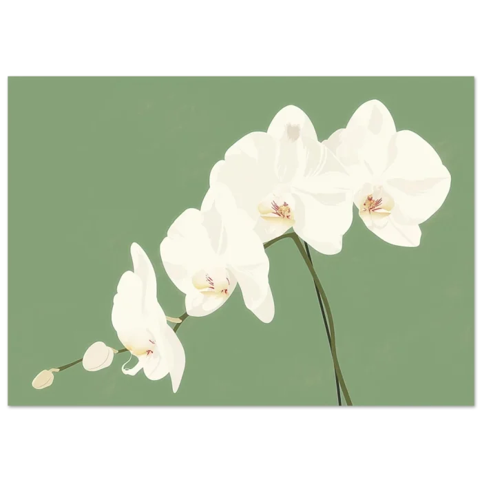 8aaa2382-553f-438a-9c20-6a6518e28373