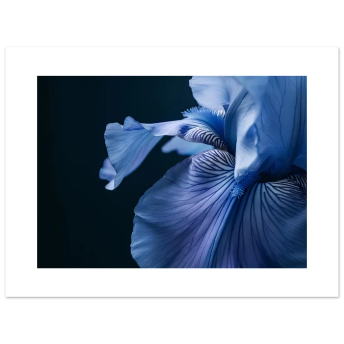 8b5a36fc-fd3a-47a3-8dfe-41fe20419695