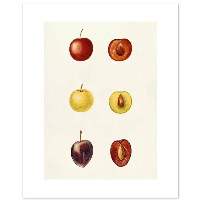 8be3c93b-c39f-4a58-b51d-980ec70fab56