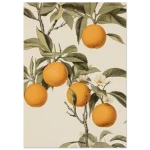 8c35ae63-4b69-49ef-9a66-55d1c2533b3d