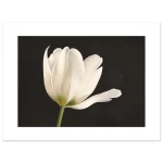 8c8ed31e-6d57-4a37-b2e4-66f02941886a