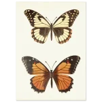 8cd8d4c8-5a00-43bf-b06b-f6a623251dff