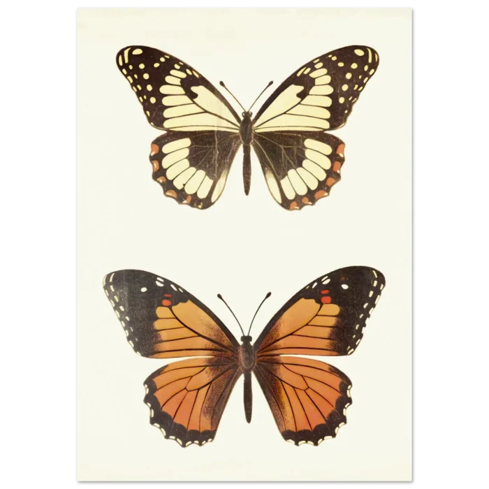 8cd8d4c8-5a00-43bf-b06b-f6a623251dff