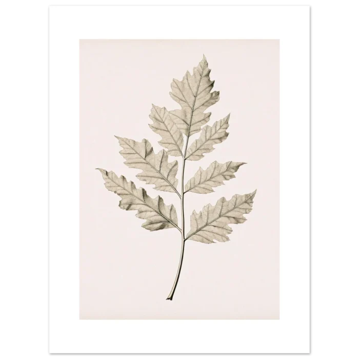 8df66d27-215e-4ed4-b021-5818ad3da0d1