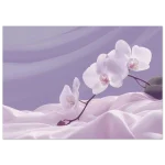 8e64d309-5851-423e-b9ec-a0d466fe3e79