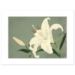 8e76d839-9b83-4b0b-8d63-73432785bfcd