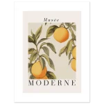 8e862cee-7892-41f4-a816-5f51fcae52ec