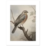 8ebd29da-1a9e-4b8d-aea3-adf9e2b0c503