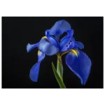 8f14be7e-3ec0-4a2d-be77-624f28f4ca0f