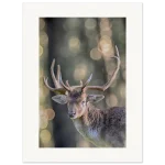 8f31850c-5e71-46c5-a1e9-9a4e570cfbd5