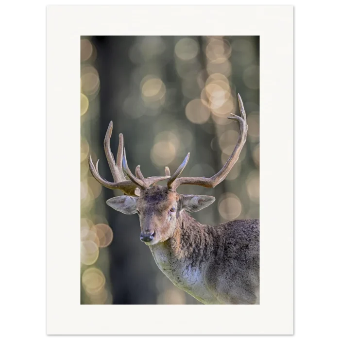 8f31850c-5e71-46c5-a1e9-9a4e570cfbd5