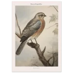 8f9317ef-e691-4108-aefc-74a50deb6464