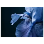 8fb94091-75da-4e17-84f9-8754ea5cc18a