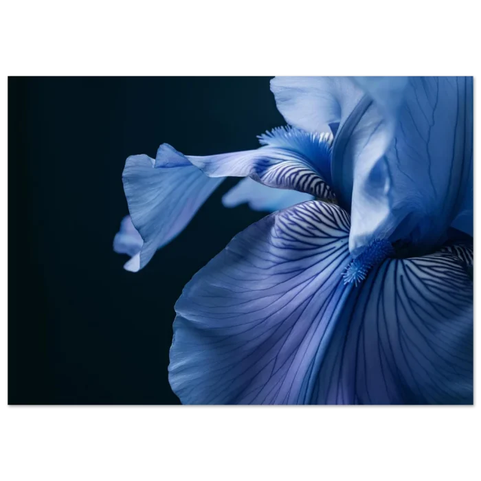 8fb94091-75da-4e17-84f9-8754ea5cc18a