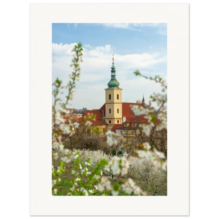 8fe642fc-b3cd-433a-bfd4-b5f9bcb4e0ac