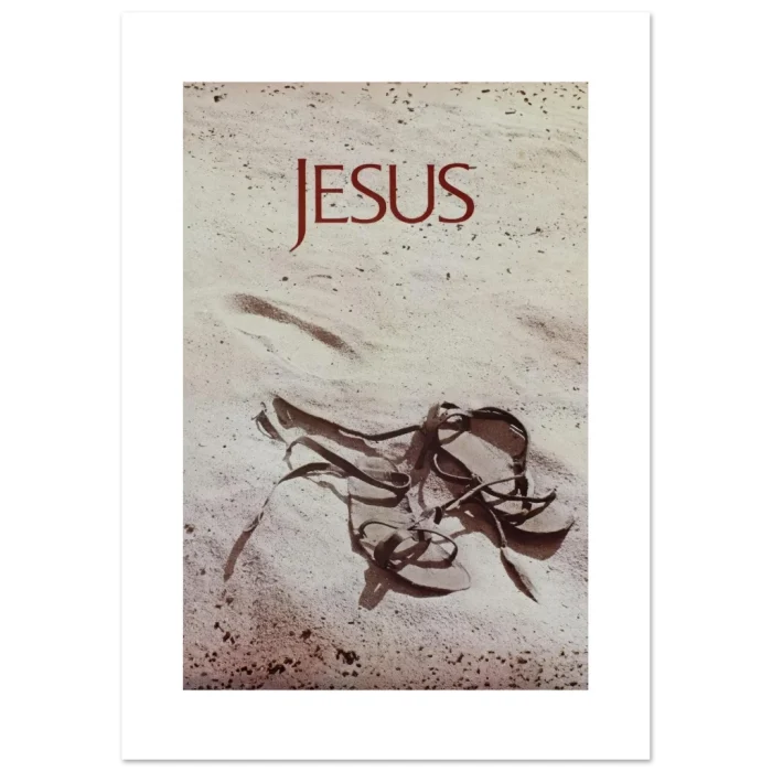 901f6584-629e-413d-8d3e-ed895606f532