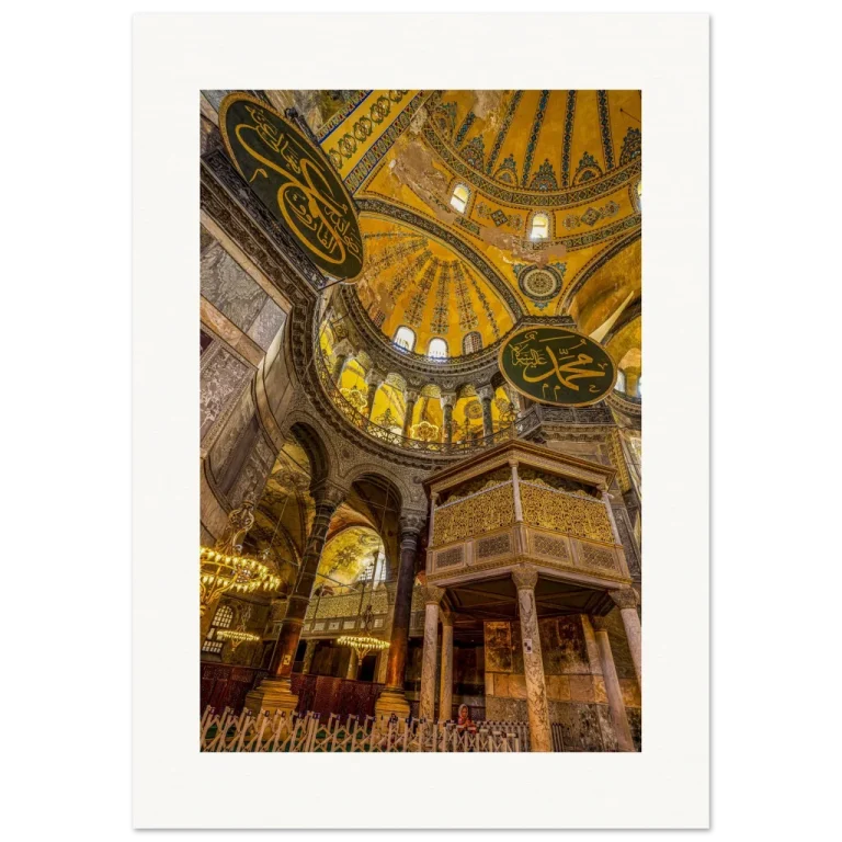 90e56c1d-755d-4683-a70c-91198f714929