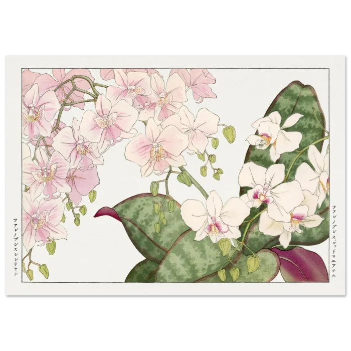 914a4158-b7a2-4e1c-8358-e9875bfe2b6e