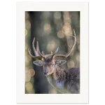 919f3722-c9dd-4842-b127-8df73a0f0813