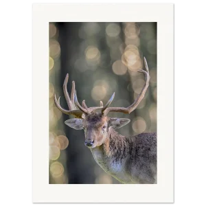 919f3722-c9dd-4842-b127-8df73a0f0813