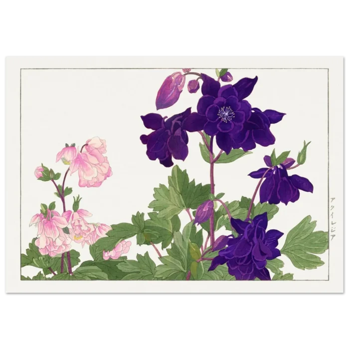 91c9d852-8198-4d4c-ad1a-4161e516bfb5