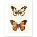 92d43c54-d6bd-4972-87d6-da89c9236c8c