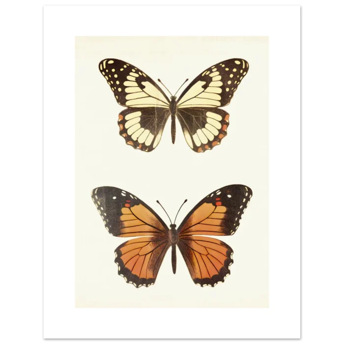 92d43c54-d6bd-4972-87d6-da89c9236c8c