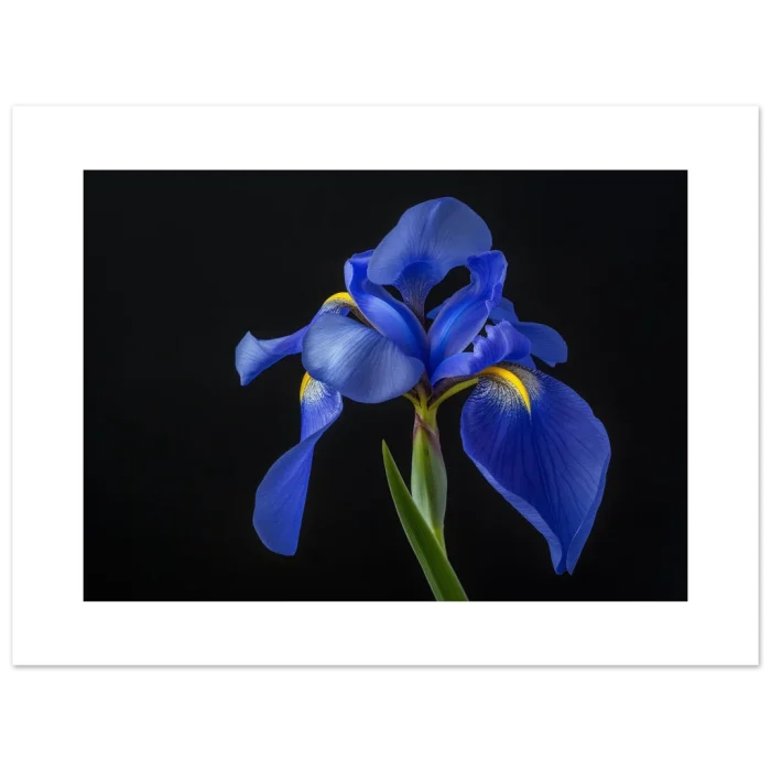 92f9e41d-bc6d-418a-83a5-d6ad0bc66019