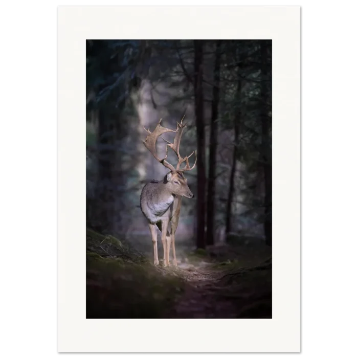 944c437c-5f27-4068-9b16-b166792d6db0