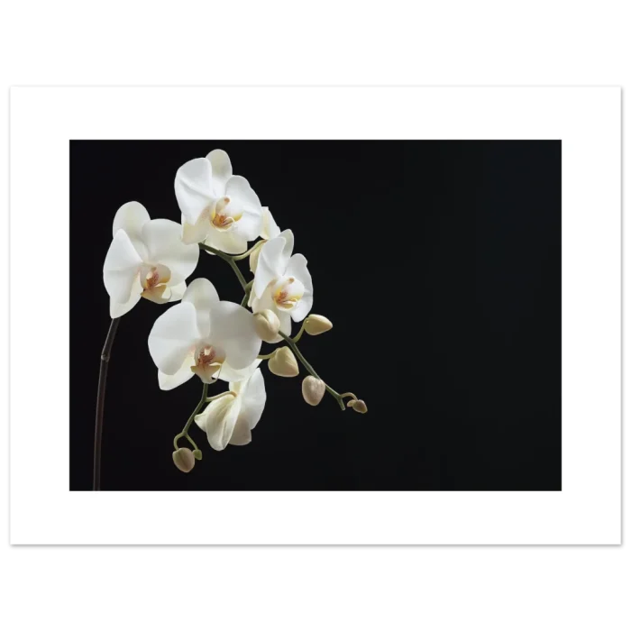 94b8b917-01bf-49d3-a9cf-37fa1f414e6b