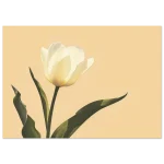 95c2bf26-f8c0-40f4-88fb-dc60305a2068