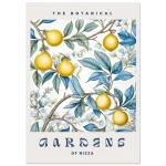 95d2da67-f8f8-4405-bcba-3c6241b4f324